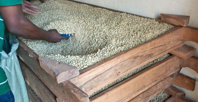 Ssisyi Coffee Ug (18) Ssisyi Coffee Ug (18)