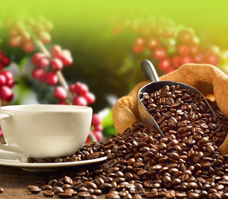 Coffee Sisiyi